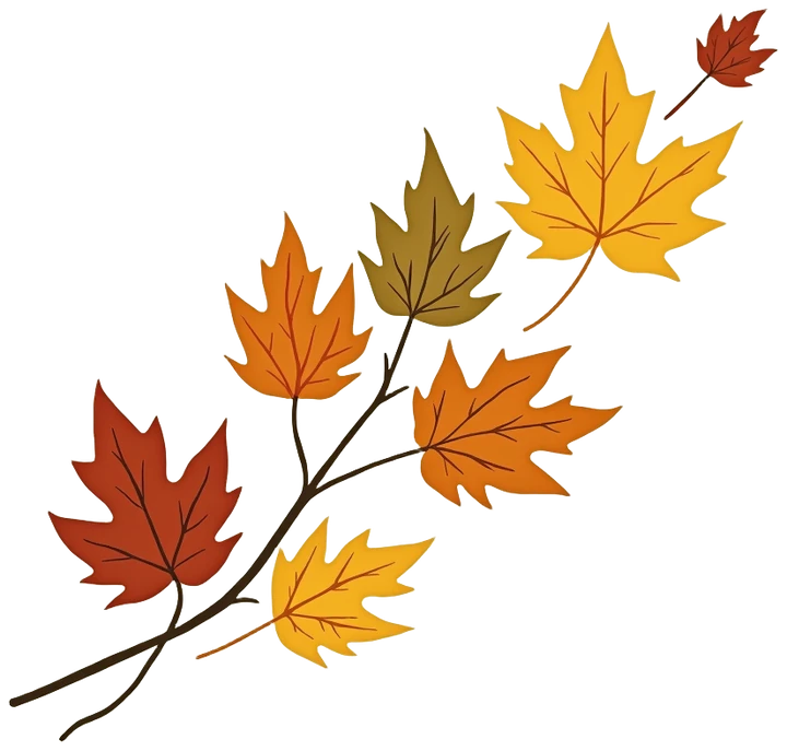 Autumn leaves