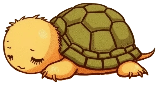 An old tortoise, asleep